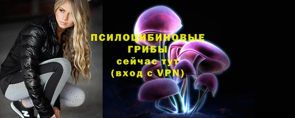 ГАЛЛЮЦИНОГЕННЫЕ ГРИБЫ Алексеевка