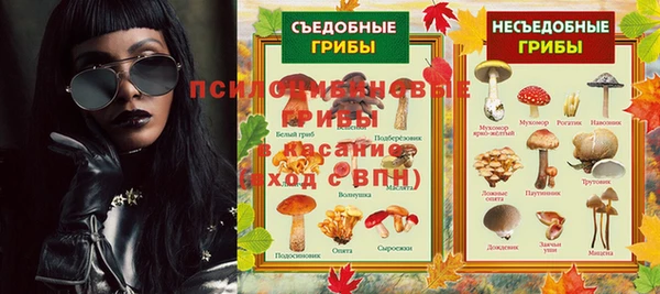 ГАЛЛЮЦИНОГЕННЫЕ ГРИБЫ Алексеевка