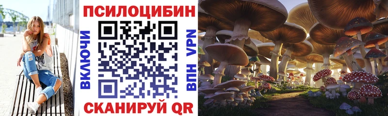 hydra Черемхово Псилоцибиновые грибы Magic Shrooms
